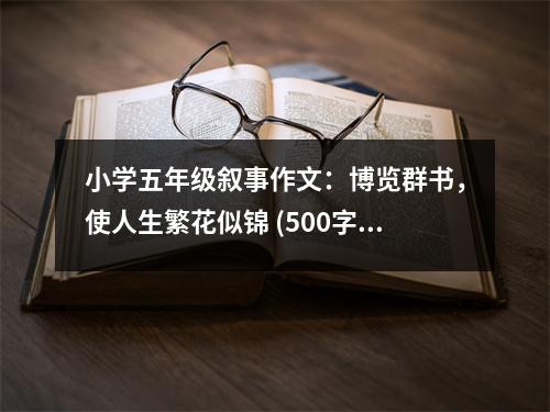 小學(xué)五年級敘事作文：博覽群書，使人生繁花似錦 (500字)