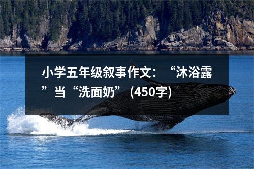 小學(xué)五年級敘事作文：“沐浴露”當(dāng)“洗面奶” (450字)
