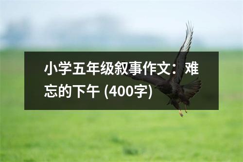 小學(xué)五年級(jí)敘事作文：難忘的下午 (400字)