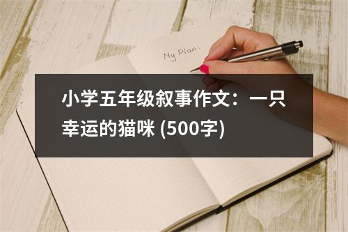小學(xué)五年級(jí)敘事作文：一只幸運(yùn)的貓咪 (500字)