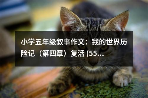 小學(xué)五年級(jí)敘事作文：我的世界歷險(xiǎn)記（第四章）復(fù)活 (550字)