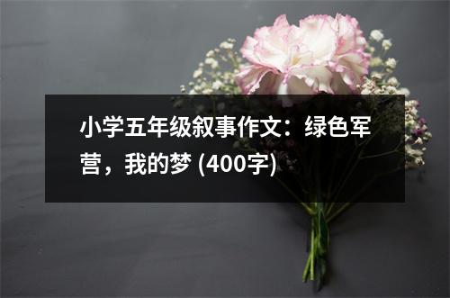 小學(xué)五年級敘事作文：綠色軍營，我的夢 (400字)