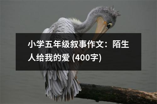 小學(xué)五年級敘事作文：陌生人給我的愛 (400字)