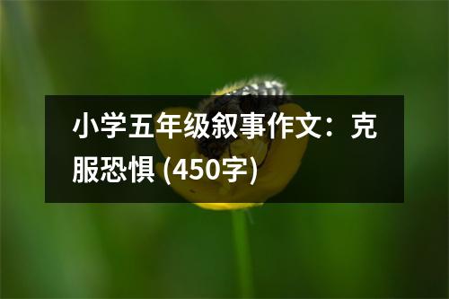 小學(xué)五年級敘事作文：克服恐懼 (450字)