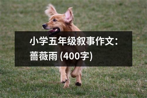 小學(xué)五年級敘事作文：薔薇雨 (400字)