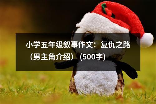 小學(xué)五年級(jí)敘事作文：復(fù)仇之路（男主角介紹） (500字)