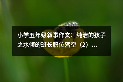 小學(xué)五年級(jí)敘事作文：純潔的孩子之水傾的班長(zhǎng)職位落空（2） (500字)