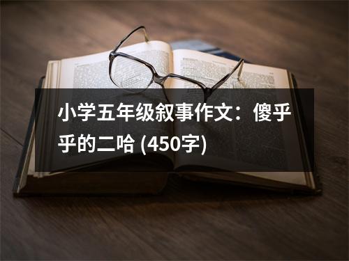 小學(xué)五年級(jí)敘事作文：傻乎乎的二哈 (450字)