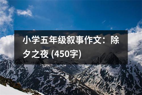 小學(xué)五年級(jí)敘事作文：除夕之夜 (450字)