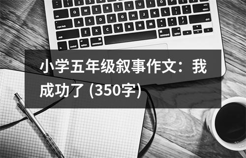 小學(xué)五年級(jí)敘事作文：我成功了 (350字)