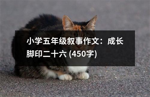 小學(xué)五年級(jí)敘事作文：成長(zhǎng)腳印二十六 (450字)