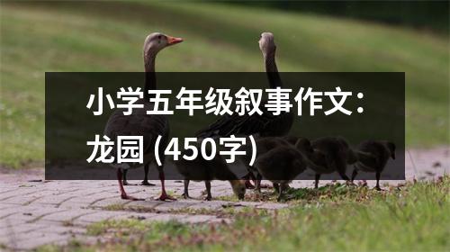 小學(xué)五年級(jí)敘事作文：龍園 (450字)