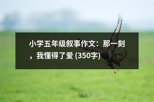 小學(xué)五年級(jí)敘事作文：那一刻，我懂得了愛(ài) (350字)