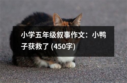 小學(xué)五年級(jí)敘事作文：小鴨子獲救了 (450字)