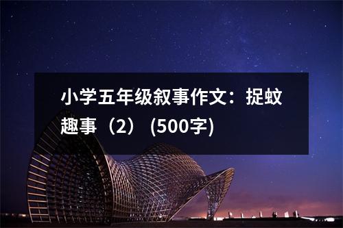 小學五年級敘事作文：捉蚊趣事（2） (500字)