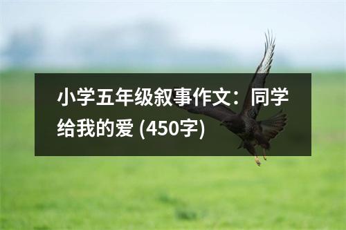 小學五年級敘事作文：同學給我的愛 (450字)