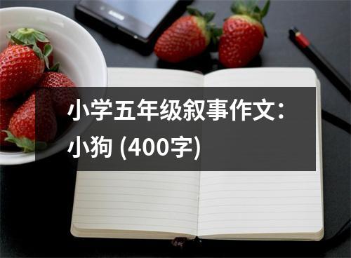 小學五年級敘事作文：小狗 (400字)
