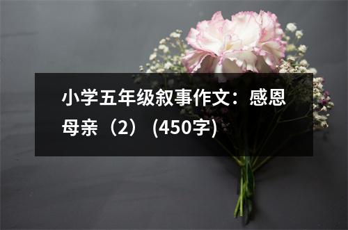 小學(xué)五年級(jí)敘事作文：感恩母親（2） (450字)