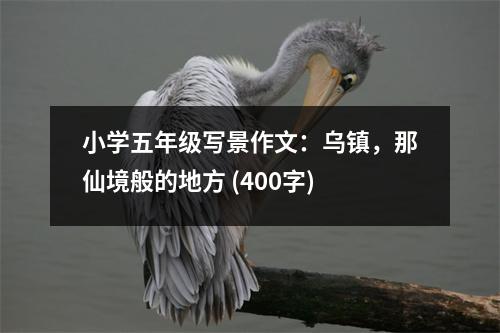 小學(xué)五年級(jí)寫景作文：烏鎮(zhèn)，那仙境般的地方 (400字)