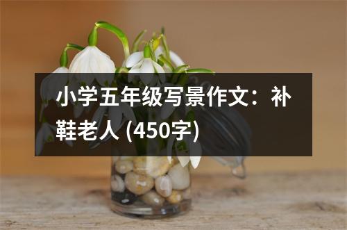 小學(xué)五年級寫景作文：補鞋老人 (450字)