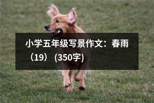 小學(xué)五年級(jí)寫(xiě)景作文：春雨（19） (350字)