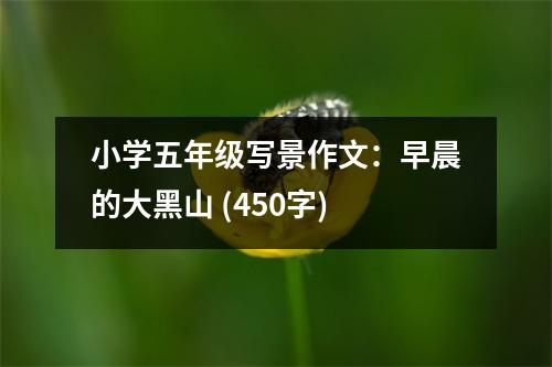 小學(xué)五年級(jí)寫景作文：早晨的大黑山 (450字)
