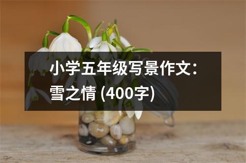 小學(xué)五年級(jí)寫景作文：雪之情 (400字)
