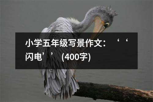 小學(xué)五年級寫景作文：‘‘閃電’’ (400字)