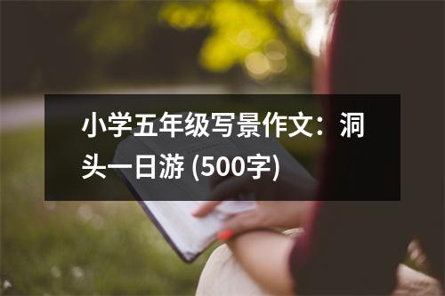 小學五年級寫景作文：洞頭一日游 (500字)