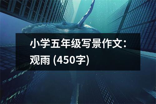 小學五年級寫景作文：觀雨 (450字)