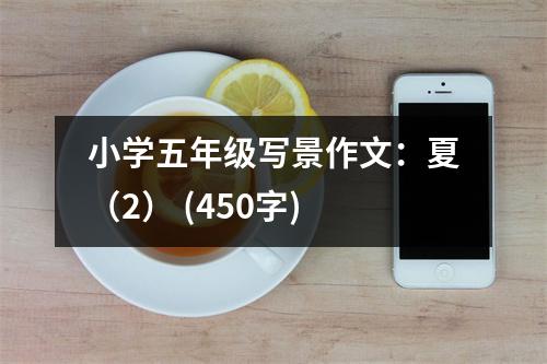 小學(xué)五年級(jí)寫(xiě)景作文：夏（2） (450字)