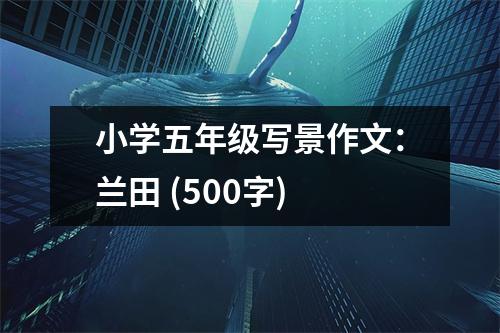 小學(xué)五年級(jí)寫(xiě)景作文：蘭田 (500字)