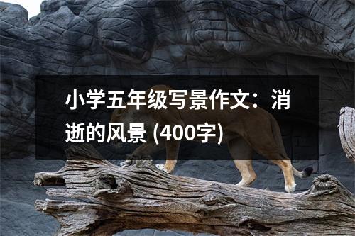 小學(xué)五年級寫景作文：消逝的風(fēng)景 (400字)