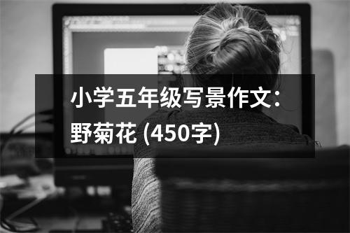 小學(xué)五年級(jí)寫景作文：野菊花 (450字)