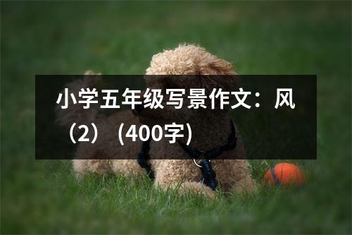 小學五年級寫景作文：風（2） (400字)
