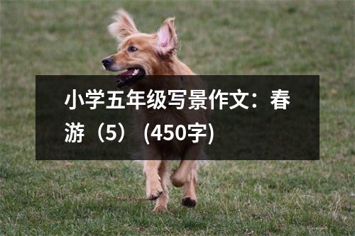 小學(xué)五年級寫景作文：春游（5） (450字)