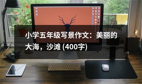 小學(xué)五年級寫景作文：美麗的大海，沙灘 (400字)