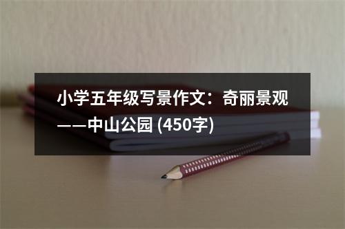 小學(xué)五年級寫景作文：奇麗景觀——中山公園 (450字)