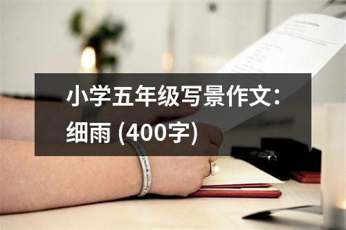 小學(xué)五年級(jí)寫景作文：細(xì)雨 (400字)