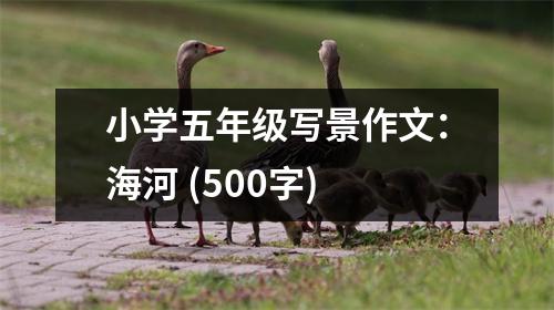 小學(xué)五年級寫景作文：海河 (500字)