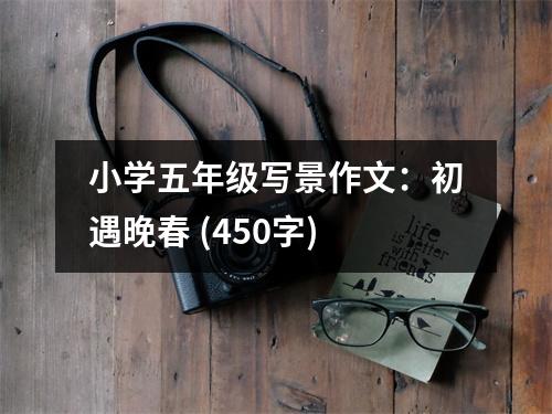 小學(xué)五年級寫景作文：初遇晚春 (450字)