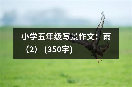 小學(xué)五年級寫景作文：雨（2） (350字)