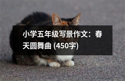 小學(xué)五年級(jí)寫景作文：春天圓舞曲 (450字)