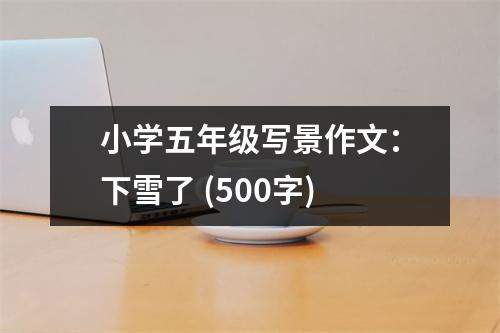 小學(xué)五年級寫景作文：下雪了 (500字)