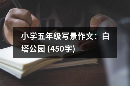 小學五年級寫景作文：白塔公園 (450字)
