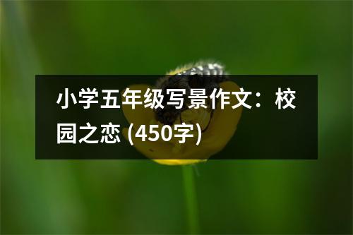 小學(xué)五年級(jí)寫(xiě)景作文：校園之戀 (450字)