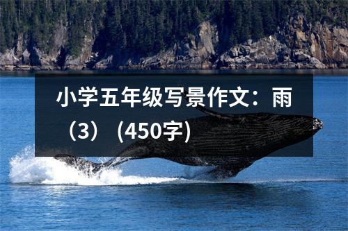 小學(xué)五年級寫景作文：雨（3） (450字)