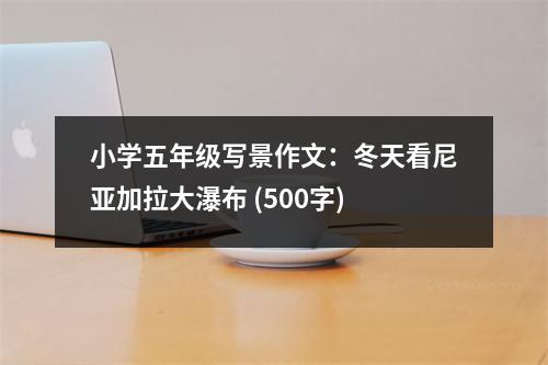 小學(xué)五年級寫景作文：冬天看尼亞加拉大瀑布 (500字)