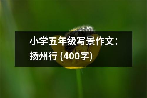 小學(xué)五年級(jí)寫景作文：揚(yáng)州行 (400字)