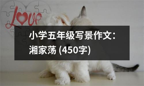 小學(xué)五年級(jí)寫景作文：湘家蕩 (450字)